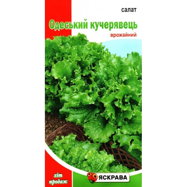 Насіння салату Одеський Кучерявець, Яскрава, 2г (Насіння салату), фото 1