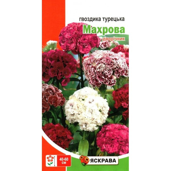 Насіння гвоздики Турецька Махрова, Яскрава, 0,5г (Насіння квітів), фото 1