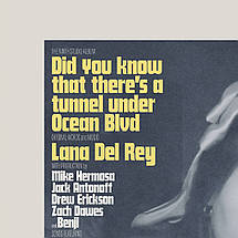 Плакат "Лана Дель Рей, Lana Del Rey, Did you know (2023)", 60×43см, фото 2