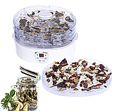 Сушарка - дегідратор для грибів, трав і продуктів Camry CR 6659 (Польща) 550Вт - на 5 сит, фото 3