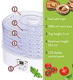 Сушарка - дегідратор для грибів, трав і продуктів Camry CR 6659 (Польща) 550Вт - на 5 сит, фото 8