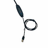 Світлодіодна led фітолампа для кімнатних рослин Настільна подвійна USB фітолампа повного спектру, фото 4