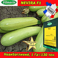 Насіння, кабачок НЕВІРА F1 / NEVIRA F1 ТМ Vilmorin (Франція)