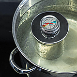 Шинниця Browin на 3 кг м'яса з термометром, пакетами та спеціями (313130), фото 3