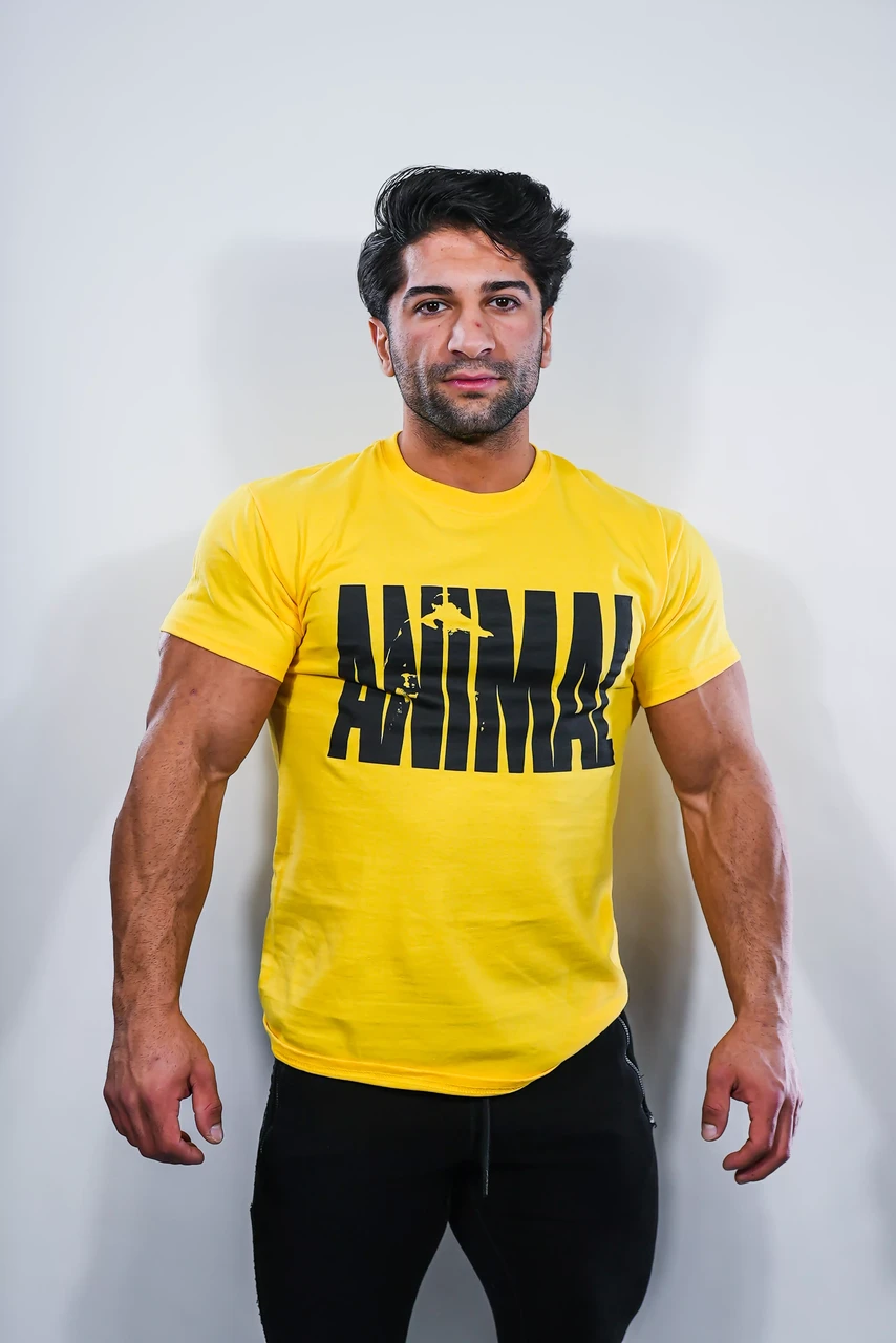 Спортивна чоловіча футболка ANIMAL 'PAK' ICONIC YELLOW TEE жовта XXL (оригінал)