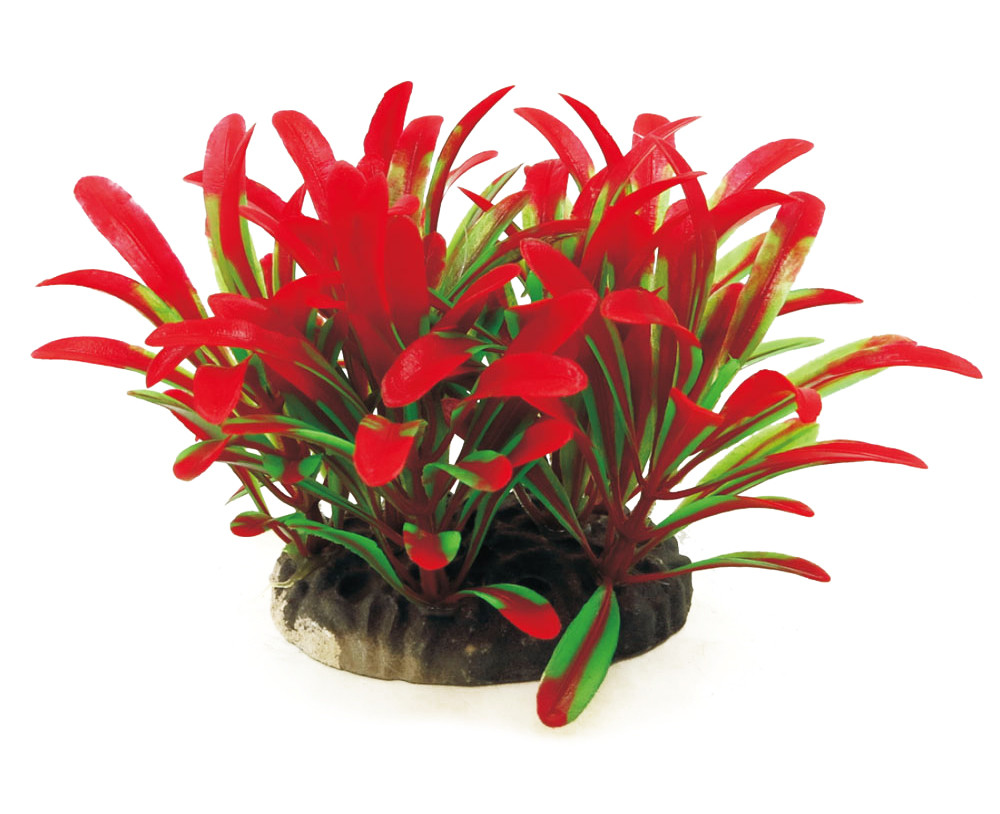 Рослина для декору акваріума 10x10x8cm червоно-зелена, фото 1