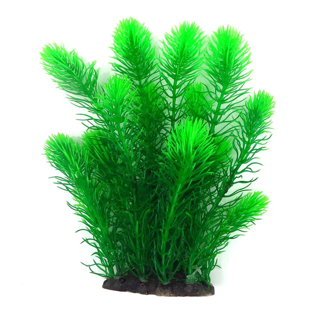 Рослина для декору акваріума 10x8x25cm зелена Foxtail