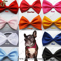 Бантик-метелик для тварин — "Pet Tie"