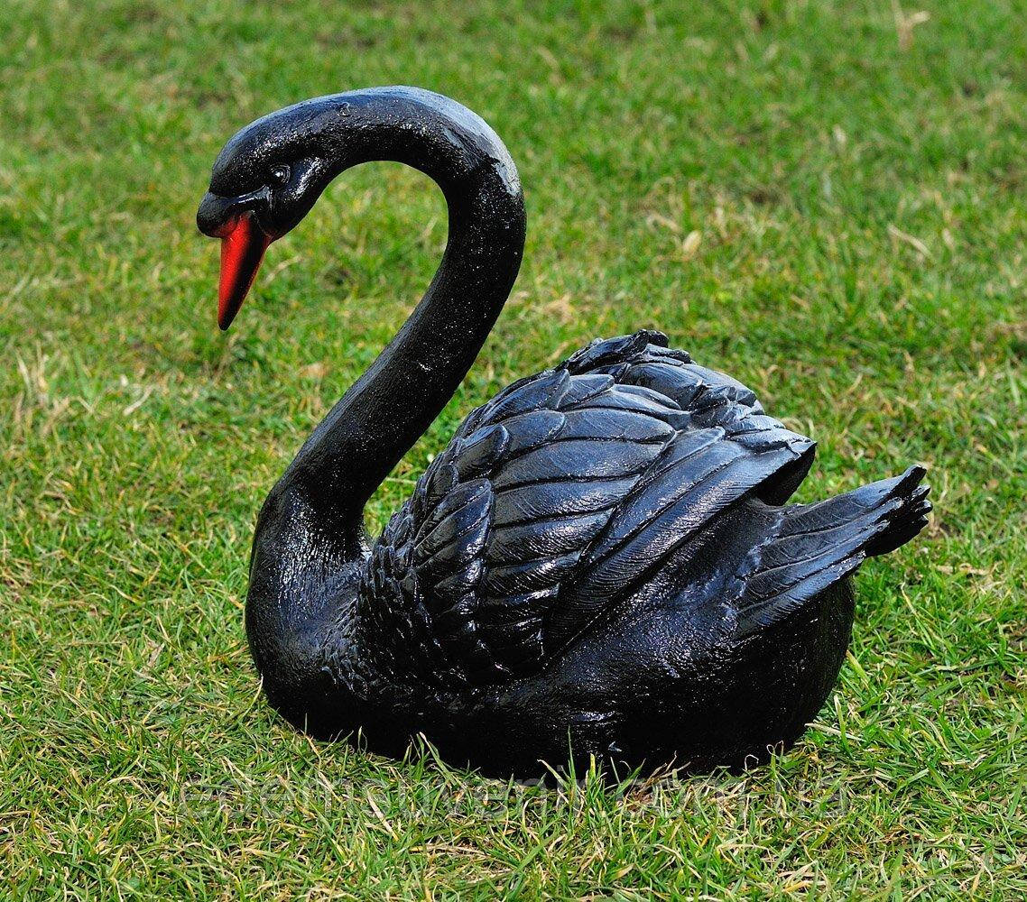 Садова фігура Лебідь шипун чорний, фото 1