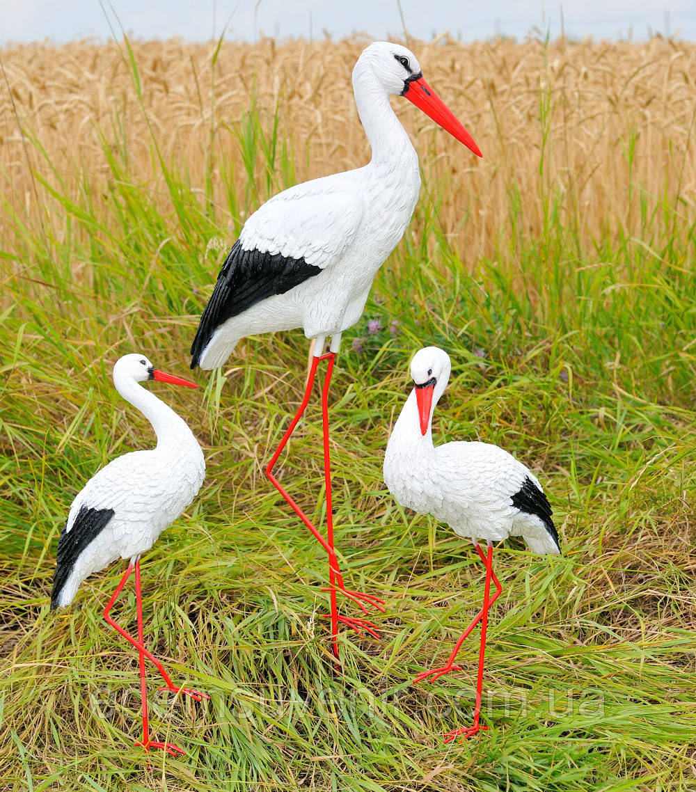 Садова фігура Сім'я садових лелек №84 на металевих лапах, садові фігури лелеки, лелеки садові,  садово паркові скульптури лелеки,