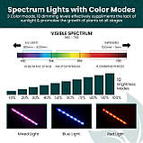 Green Haven 80 світлодіодні світильники для кімнатних рослин - 4-х важільний світлодіодний світильник з 10 рівнями затемнення, фото 9