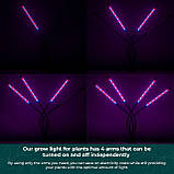 Green Haven 80 світлодіодні світильники для кімнатних рослин - 4-х важільний світлодіодний світильник з 10 рівнями затемнення, фото 4