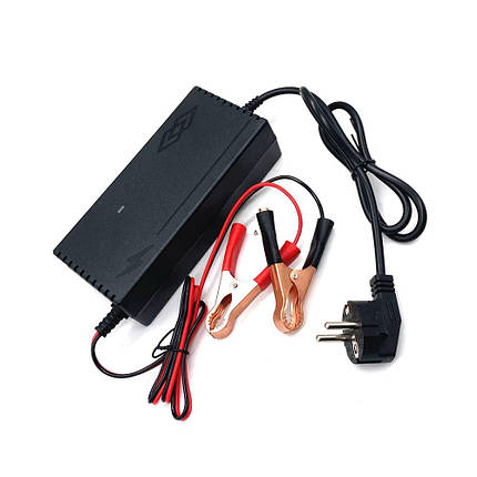 Зарядний пристрій для акумуляторів LiFePO4 12V(14,6V),4S,10A, фото 1