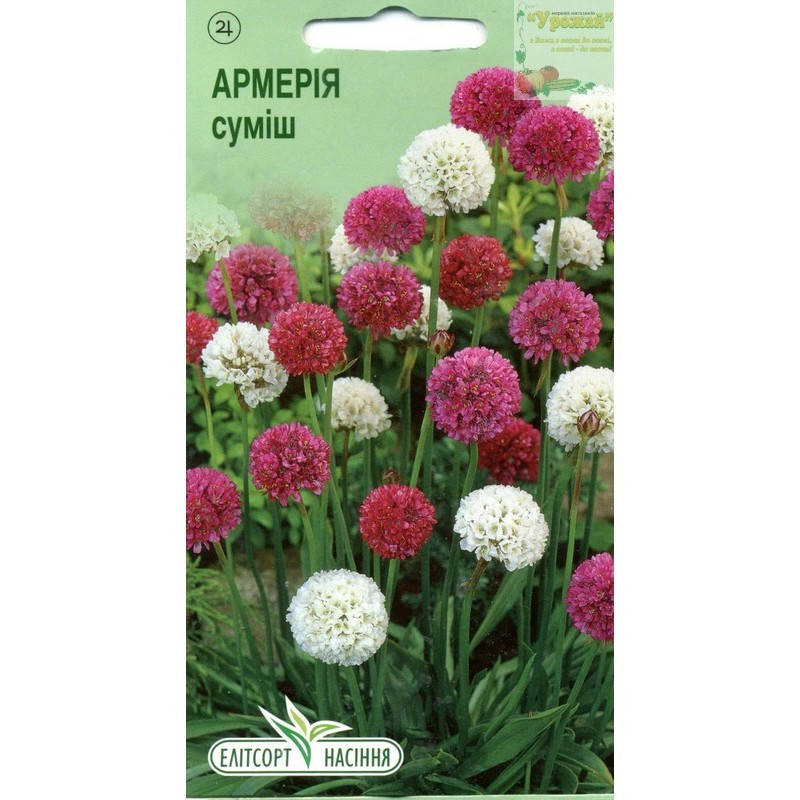 

Семена цветы Армерия смесь, 0,05 г