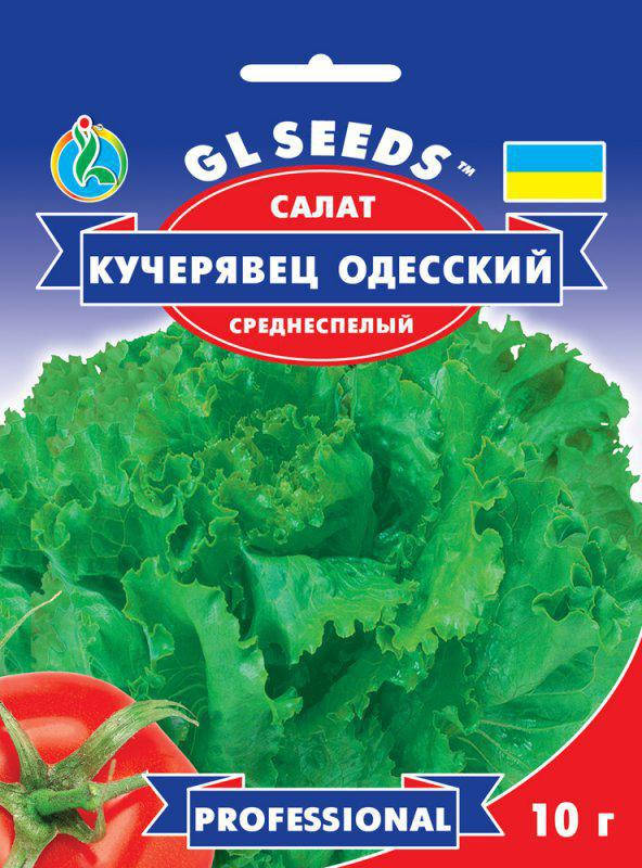 

Салат Кучерявец Одесский популярный среднеспелый сорт без горечи устойчив к цветушности, упаковка 10 г