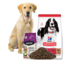 Товары и услуги в Харькове от компании 