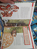 Книга Моя країна Україна. Лагунова, Т.; Корольков, Д.; Мірошникова, В.; Михайленко, Л., фото 5