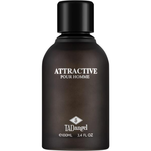 Парфумована вода Tad Angel Attractive Pour Homme для чоловіків — edp 100 ml tester