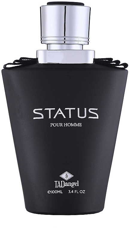 Парфумована вода Tad Angel Status Pour Homme для чоловіків — edp 100 ml tester