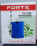 Електрообприскувач акумуляторний FORTE CL-12A 12Л, фото 3