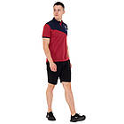 Футболка поло PARIS SP-Sport CO-0771 розмір S-2XL бордовий-синій, фото 5