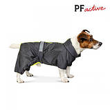 Дощовик Pet Fashion «Rain» для такс, розмір S-2, сірий PR241634, фото 2