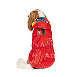 Вітровка Pet Fashion «Air» для собак, розмір М, червона AIR красная М Pet Feshion, фото 4