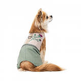 Шлея-костюм Pet Fashion для собак Patrik S PR243441, фото 4