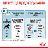 Royal Canin DOG Mini Puppy для цуценят малих порід 2кг, фото 4