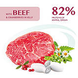 Optimeal DOG Pouch Beef & Cranberry jelly для собак, із яловичиною та журавлиною в желе 100г, фото 2