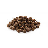Brit Premium DOG Junior S для цуценят дрібних порід з куркою 3кг, фото 2