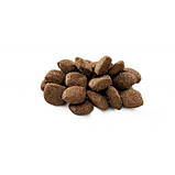 Brit Premium DOG Sensitive Lamb для собак з чутливим травленням, з ягням 3кг, фото 2