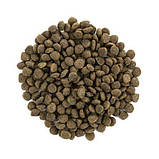 Brit Care DOG GF Mini Lamb для дорослих собак мініатюрних порід, з ягням, 0,4кг, фото 2