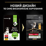 ProPlan DOG Medium Puppy Healthy Start Chicken для цуценят середніх порід з куркою 3кг, фото 4