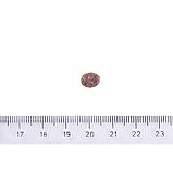 Brit Care DOG Sustainable Adult Small Breed для собак малих порід, з куркою та комахами 1кг, фото 3