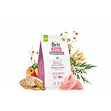Brit Care DOG Sustainable Adult Small Breed для собак малих порід, з куркою та комахами 1кг, фото 4