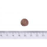 Brit Care DOG Hypoallergenic Adult Medium Breed для собак середніх порід, ягня 3кг, фото 3