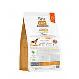 Brit Care DOG Hypoallergenic Junior Large Breed Lamb для молодих собак великих порід, з ягням 3кг, фото 4