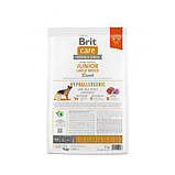 Brit Care DOG Hypoallergenic Junior Large Breed Lamb для молодих собак великих порід, з ягням 3кг, фото 5