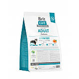 Brit Care DOG Grain-free Adult Salmon для собак малих і середніх порід з лососем 3кг, фото 5