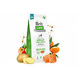 Brit Care DOG Grain-free Adult Large Breed Salmon для собак великих порід з лососем 3кг, фото 5