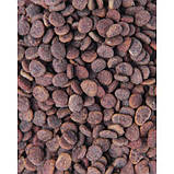 Carnilove True Fresh CAT Turkey для котів зі свіжою індичкою 1,8кг, фото 3