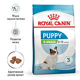 Royal Canin DOG Puppy X-small для цуценят мініатюрних порід 0,5кг, фото 3