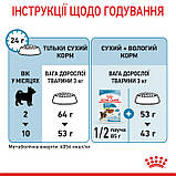 Royal Canin DOG Puppy X-small для цуценят мініатюрних порід 0,5кг, фото 4