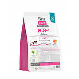 Brit Care DOG Grain-free Puppy Salmon для цуценят усіх порід, з лососем 3кг, фото 6