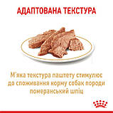 Royal Canin Pomeranian Adult вологий корм для собак породи шпіц 85г, фото 3
