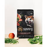 Savory DOG Large Breeds rich in Fresh Turkey & Lamb для собак великих порід з індичкою та ягням 3кг, фото 2