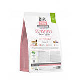 Brit Care DOG Sustainable Sensitive для собак з чутливим травленням, з рибою та комахами 3кг, фото 4