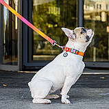 Нашийник WAUDOG Nylon Recycled з QR паспортом, градієнт, помаранчевий, L 33-49см, фото 5