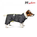 Дощовик Pet Fashion Rain сірий для собак розмір 7XL PR242584, фото 2